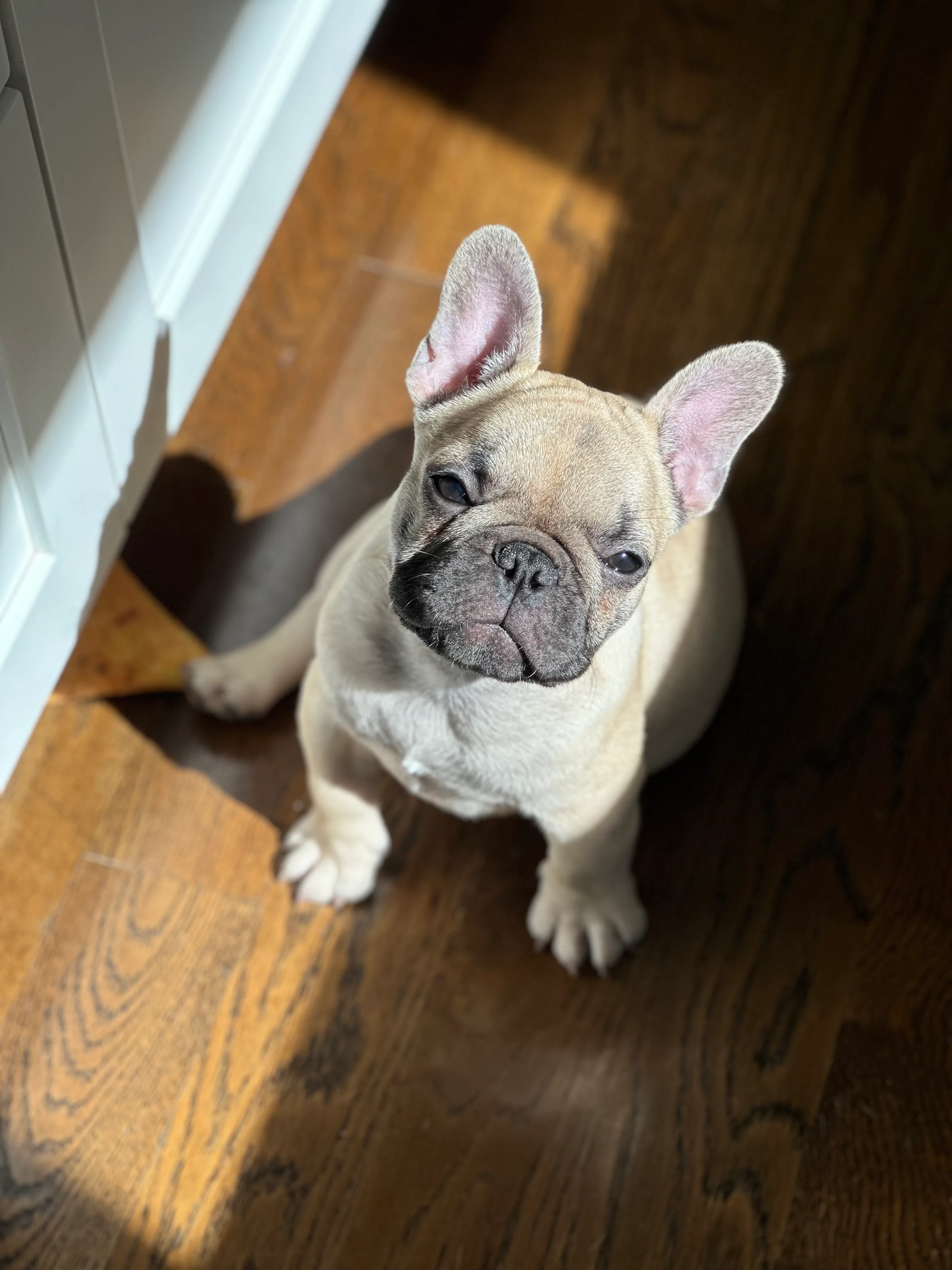 Little Arthur Artie Bucco